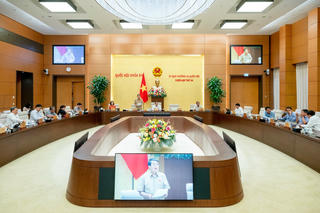 Thí điểm có được miễn trừ trách nhiệm?