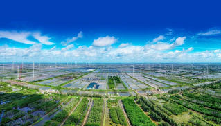 Đầu tư vào tăng trưởng xanh: Nhiều tín hiệu tốt