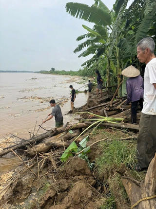 Phú Thọ: Sạt lở tiến nhanh vào đỉnh kè, xã Lâm Thao tổ chức ứng phó