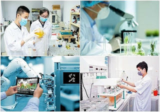 Thành lập Ban Chỉ đạo về phát triển khoa học, công nghệ, đổi mới sáng tạo và Đề án 06