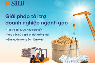 SHB ra mắt giải pháp tài trợ linh hoạt cho ngành gạo, đồng hành cùng chính phủ phát triển nông nghiệp bền vững