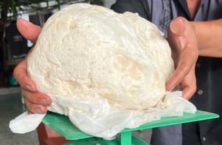 Ngư dân ở Huế phát hiện vật thể nghi là long diên hương quý hiếm