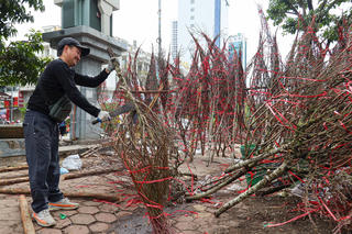 Chiều 29 Tết: Đào, quất giảm giá 50%, tiểu thương 'xả hàng' về nghỉ Tết