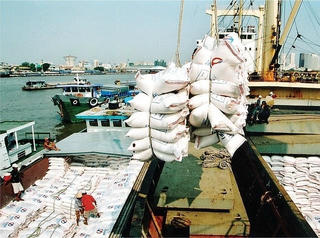 'Xoay trục' sang gạo thơm, chất lượng cao