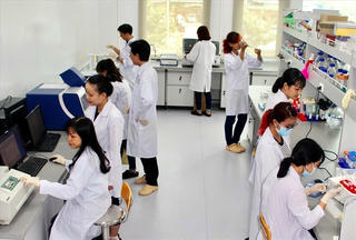 TP Hồ Chí Minh: Trải 'thảm đỏ' thu hút người tài