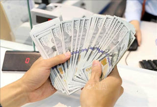 Yêu cầu siết chặt hoạt động đại lý thu đổi ngoại tệ