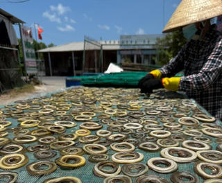 Rộn ràng nghề làm khô lịch