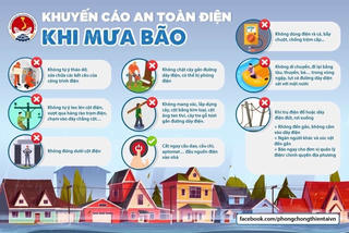 [Infographics] Phải làm gì khi bão xảy ra?