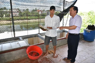 Bắc Ninh: Đồng bào công giáo chung tay xây dựng quê hương