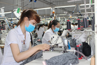 Lương đóng bảo hiểm xã hội khu vực doanh nghiệp: Vì sao tăng chậm?