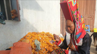 Những 'cánh chim đầu đàn'