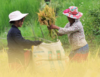 [Infographic] Điều chỉnh chỉ tiêu giảm nghèo vùng đồng bào dân tộc thiểu số miền núi