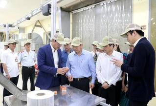 Nỗ lực kéo giảm tai nạn lao động