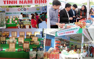 Nam Định: Đa diện, đa sắc, đa vị sản phẩm OCOP