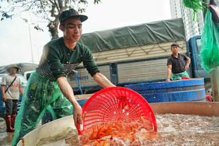 Hà Nội: Chợ cá Yên Sở tấp nập trước ngày ông Công ông Táo