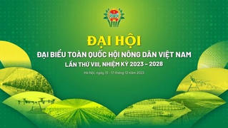 Biểu trưng chính thức Đại hội đại biểu Hội Nông dân Việt Nam lần thứ VIII