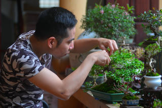 Ngắm bộ sưu tập cây bonsai 'có một không hai' của chàng trai 9x