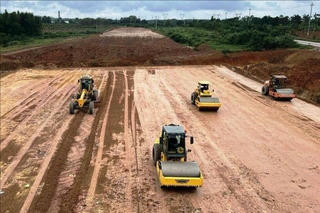 Có hay không chuyện sử dụng cát biển làm đường cao tốc khiến lúa chết?