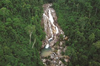 Khai mỏ vàng xanh