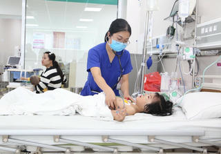 Cấp cứu nhiều trẻ bị ong đốt nguy kịch