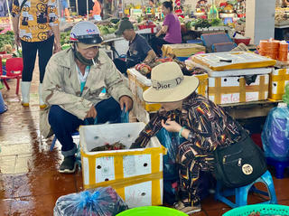Quảng Ninh: Khách du lịch rủ nhau mua hải sản, tiểu thương 'đóng thùng xốp' mỏi tay