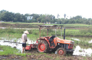 [ẢNH]: Nông dân Quảng Nam cần mẫn làm việc giữa trời nắng nóng