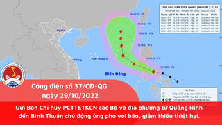 Chủ động ứng phó bão Nalgae