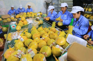 Nông nghiệp 'chạy nước rút' về đích