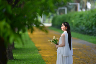 Hoa giáng hương nở rộ nhuộm vàng một góc trời Thủ đô
