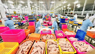 Ngành thủy sản và dấu ấn thị trường Singapore