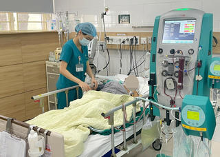 Cảnh báo tình trạng ngộ độc nấm