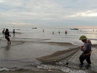 Sớm mai ra biển