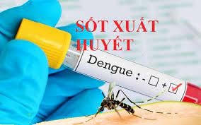 Không chủ quan với sốt xuất huyết