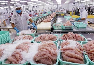 Thủy sản xuất khẩu: Phục hồi và tăng tốc