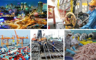 'Lá chắn' và sức chống chịu của nền kinh tế