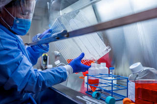 Bộ Y tế thông tin về bệnh do virus gây viêm phổi trên người tại Trung Quốc
