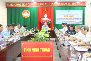 Ninh Thuận: Tọa đàm phản biện về xây dựng và phát triển 'Xanh – sạch – đẹp'