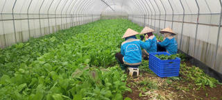Tăng tốc chương trình nông thôn mới và giảm nghèo