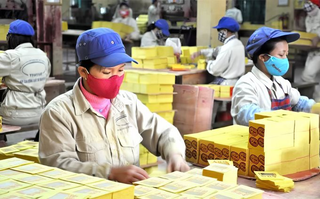 Công ty bán vàng mã lãi 31 tỷ