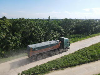 Đê sông Chu xuống cấp nghiêm trọng