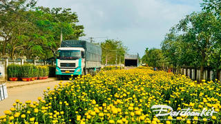 Rộn ràng những chuyến xe chở 'sắc xuân'