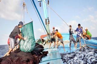 Nỗ lực khắc phục thẻ vàng IUU