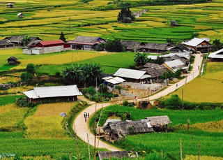 Lên Mù Cang Chải nhớ ghé bản Thái