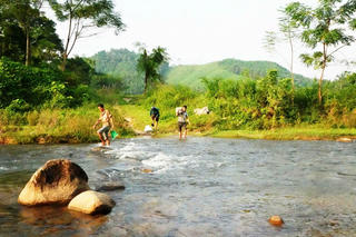 Mùa đông ở khu Muỗng