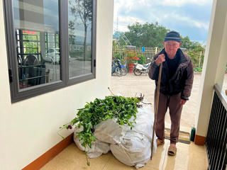 Lào Cai: Bắt cụ ông trồng cây thuốc phiện trong vườn cải