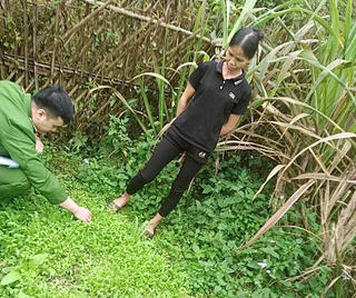 Lạng Sơn: Phát hiện gần 500 cây thuốc phiện trồng sau vườn nhà dân
