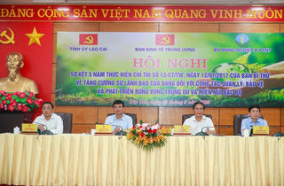 Bàn giải pháp phát triển kinh tế rừng ở vùng trung du, miền núi phía Bắc