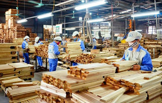 Đẩy nhanh tiến độ hoàn thuế