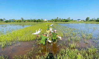 Hà Tĩnh: Tiêu huỷ hàng chục nghìn dụng cụ bẫy chim trời