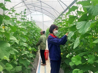 'Hộ chiếu' tăng kim ngạch xuất khẩu